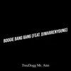 About Boogie Bang Bang Song