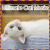 Snoozing Music for Cats