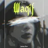 About Waqif Song