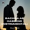 About Bachna Ae Haseeno (Instrumental) Song