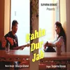 About Kahin Door Jab Din Dhal Jaye Song