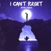 About I Can't Forget Song