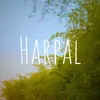 About Harpal Song