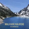 About Mala Kase Kalayche Song