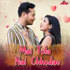 About Mai Tola Nai Chhodav Song