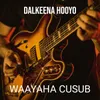 About Dalkeena Hooyo Song