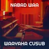 About Nabad Waa Song