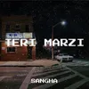 Teri Marzi