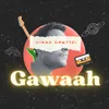 About Gawaah Song