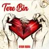 About Tere Bin Song