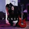 About Palkein Song