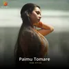 About Paimu Tomare Song