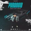 About Paranoid Song