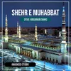 About Shehr E Muhabbat Song