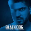 About Black Dog Song