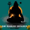 Om Namah Shivaya (Slowed &amp; Reverb)