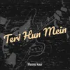 About Teri Hun Mein Song