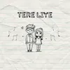 About Tere Liye Song