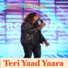 About Teri Yaad Yaara Song