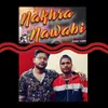 About Nakhra Nababi Song