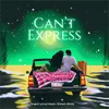 About Can't Express Song