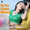 About Dil Ke Chain Milaiye Song