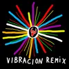 About Vibracion (Remix) Song