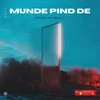 About Munde Pind De Song