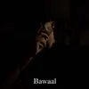 About Bawaal Song