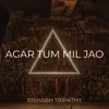 About Agar Tum Mil Jao Song