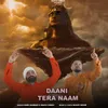 Daani Tera Naam