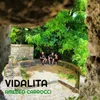 Vidalita