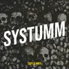 About Systumm Song