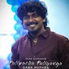 About Pulipacha Puliyanga Song