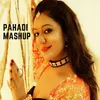 About Pahadi Mashup Song