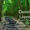 About Musica Para Meditar (Con Sonidos De La Naturaleza) Song