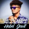 About Pinki Ra Aapun Potavli Hay Song