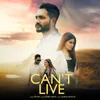 About Can't Live Song