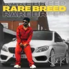 About Rare Breed Song