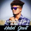 Aadivasi Tur Music