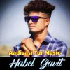 About Aadivasi Tur Ton Song