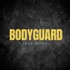 About Bodyguard Song