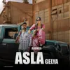 About Aaunga Asla Gelya Song