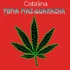 About Catalina Toma Mas Guaracha Song