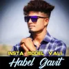 About Insta Model Vali Song