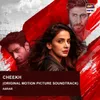 About Cheekh (Original Motion Picture Soundtrack) Song