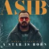 About A Star Is Born Song