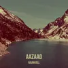 About Aazaad Song