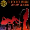 About Canción De Amor Song