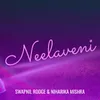 About Neelaveni Song